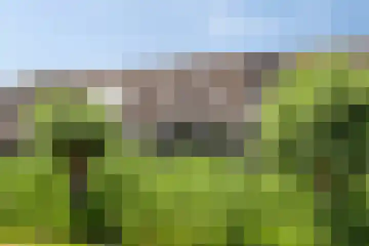 Tjaskermolen 16 Edam thumbnail 31
