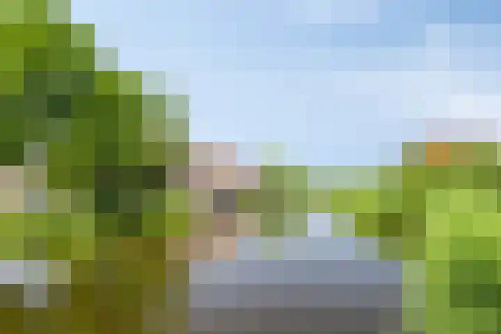 Tjaskermolen 16 Edam thumbnail 32