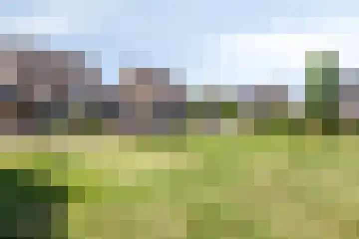 Tjaskermolen 16 Edam thumbnail 33