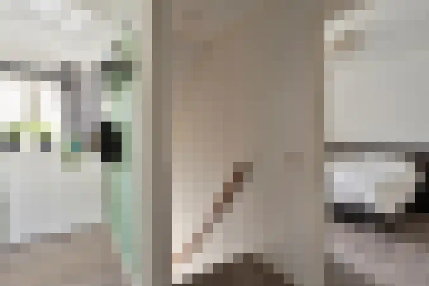 Tjaskermolen 38 de Lutte thumbnail 18