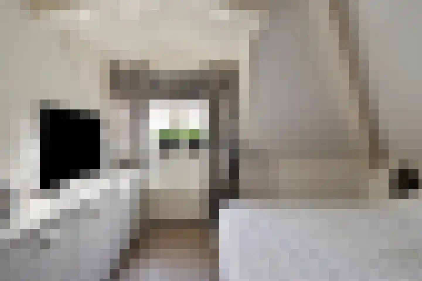 Tjaskermolen 38 de Lutte thumbnail 20