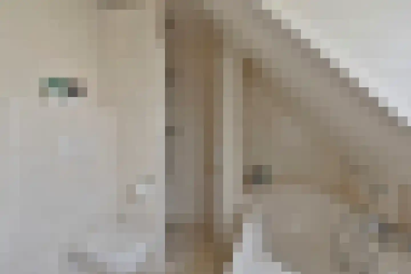 Tjaskermolen 38 de Lutte thumbnail 21