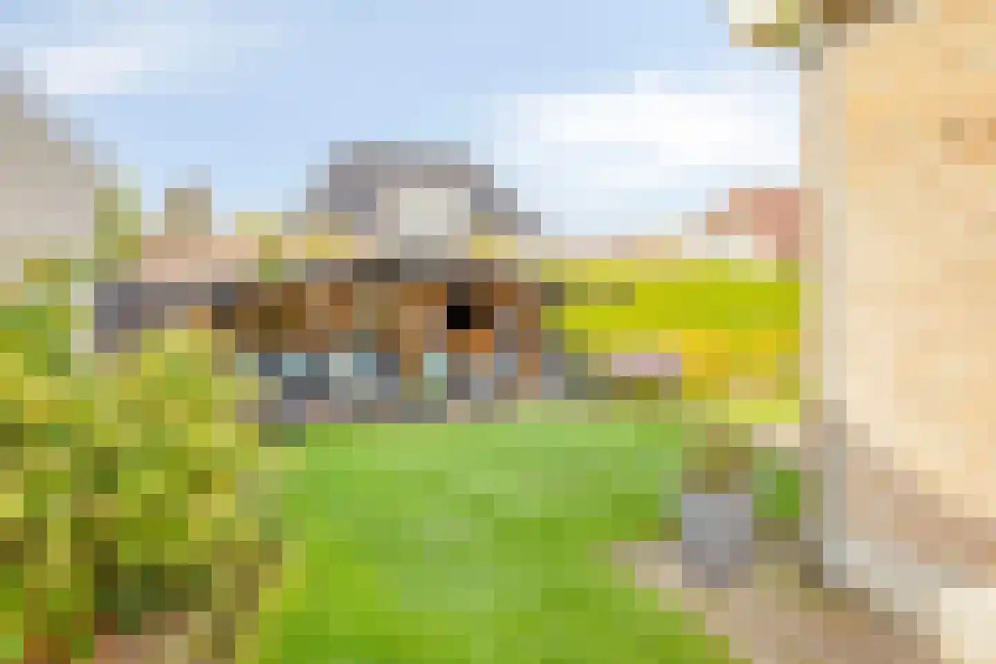 Tjaskermolen 38 de Lutte thumbnail 28