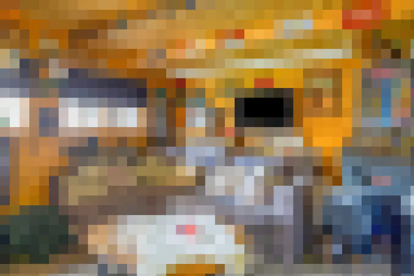 Tjaskermolen 38 de Lutte thumbnail 31