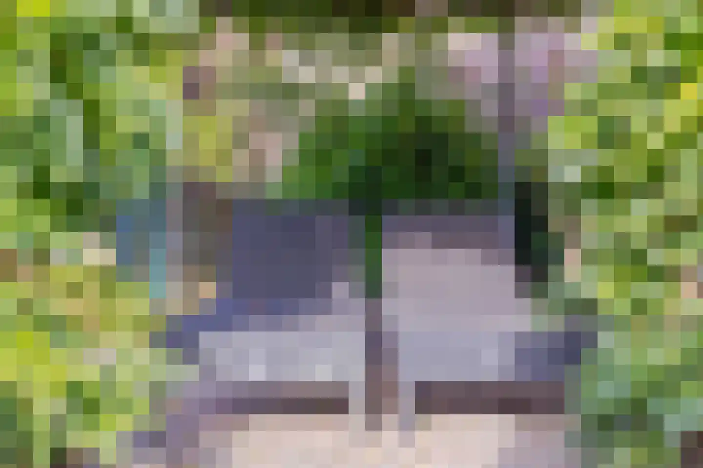 Tjaskermolen 38 de Lutte thumbnail 33