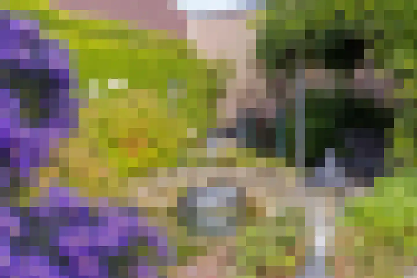 Tjaskermolen 38 de Lutte thumbnail 34