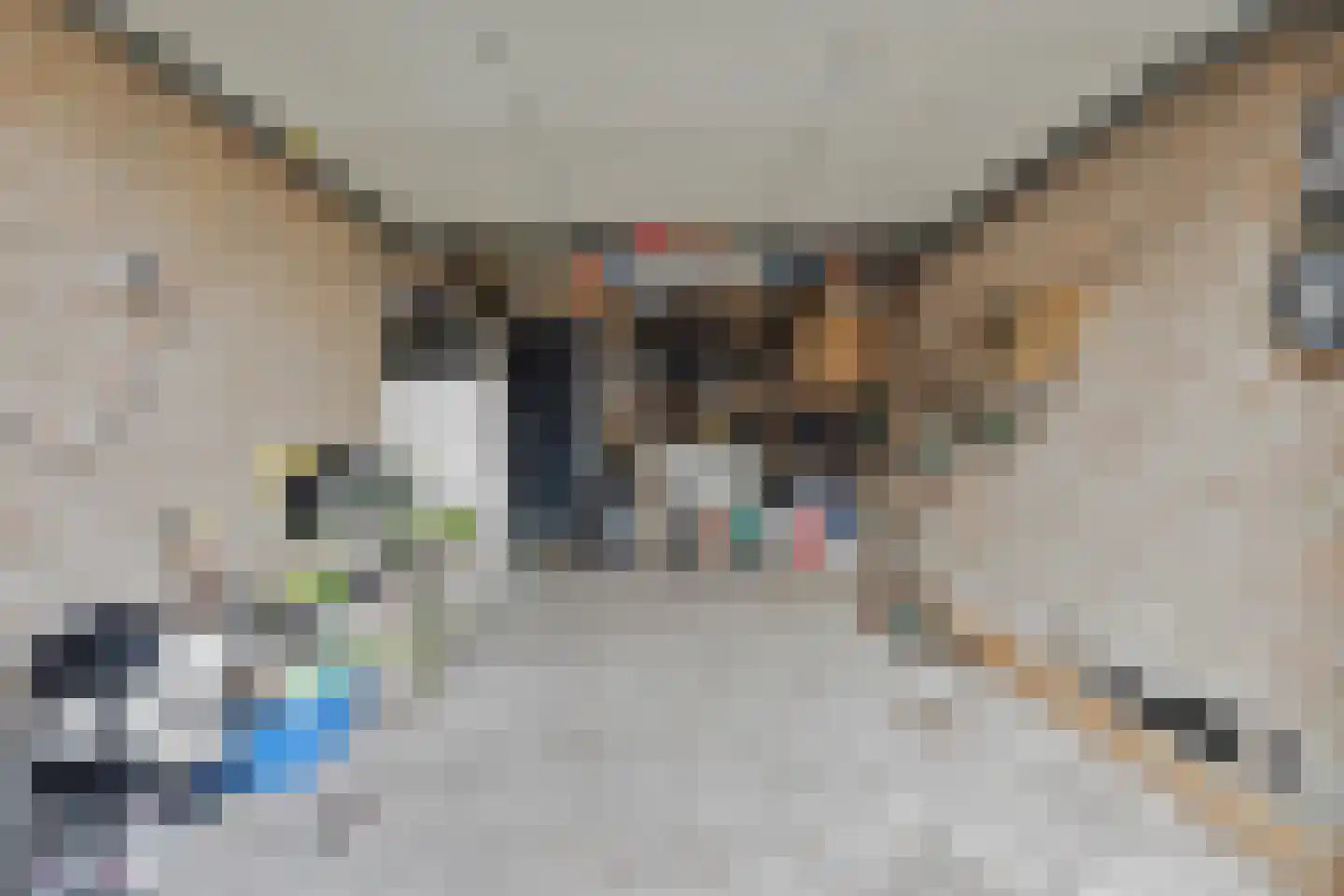 Tjaskermolen 38 de Lutte thumbnail 36