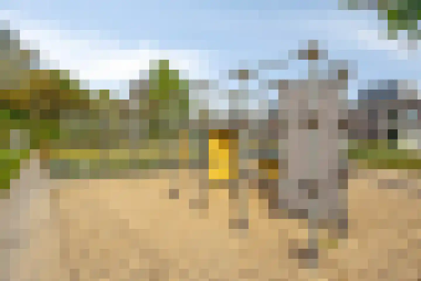 Tjaskermolen 38 de Lutte thumbnail 41