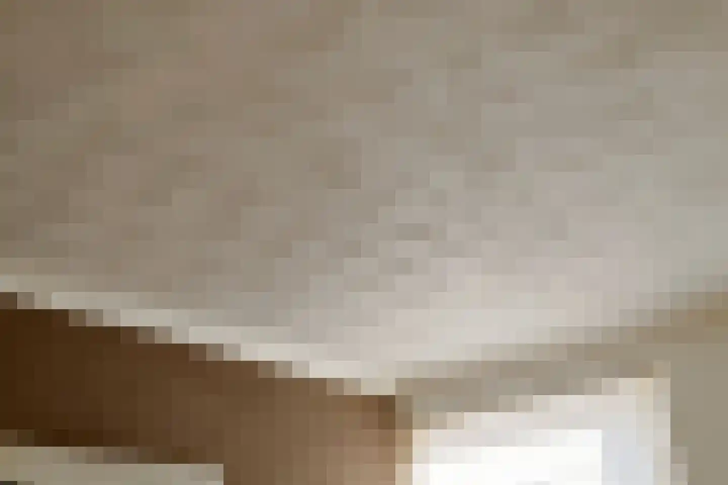 Tjaskermolen 38 de Lutte thumbnail 7