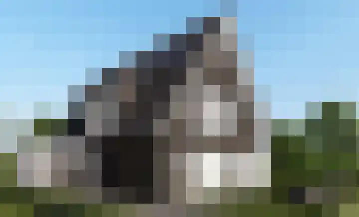Tjaskermolen 46 E in de Lutte