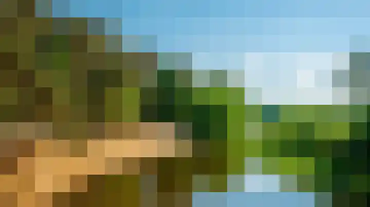 Tjaskermolen 46 E de Lutte thumbnail 4