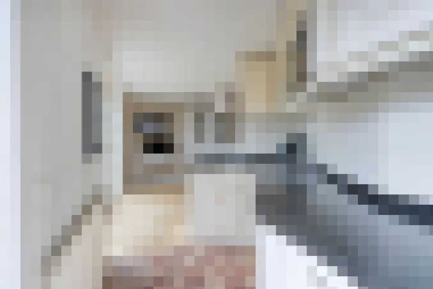 Tjaskermolen 57 de Lutte thumbnail 10
