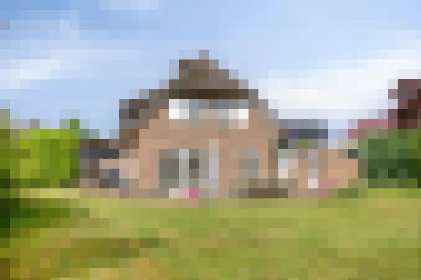 Tjaskermolen 57 de Lutte thumbnail 24