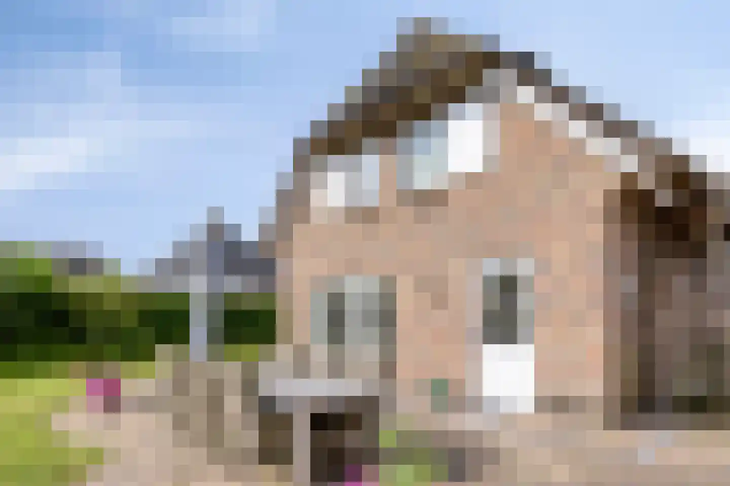Tjaskermolen 57 de Lutte thumbnail 25