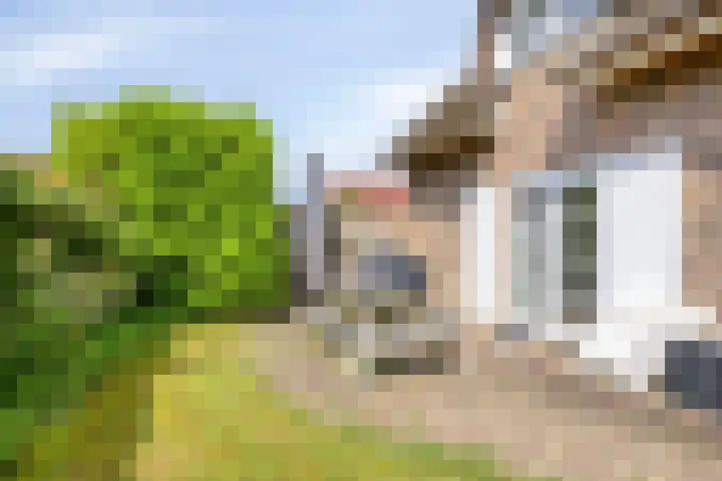 Tjaskermolen 57 de Lutte thumbnail 26
