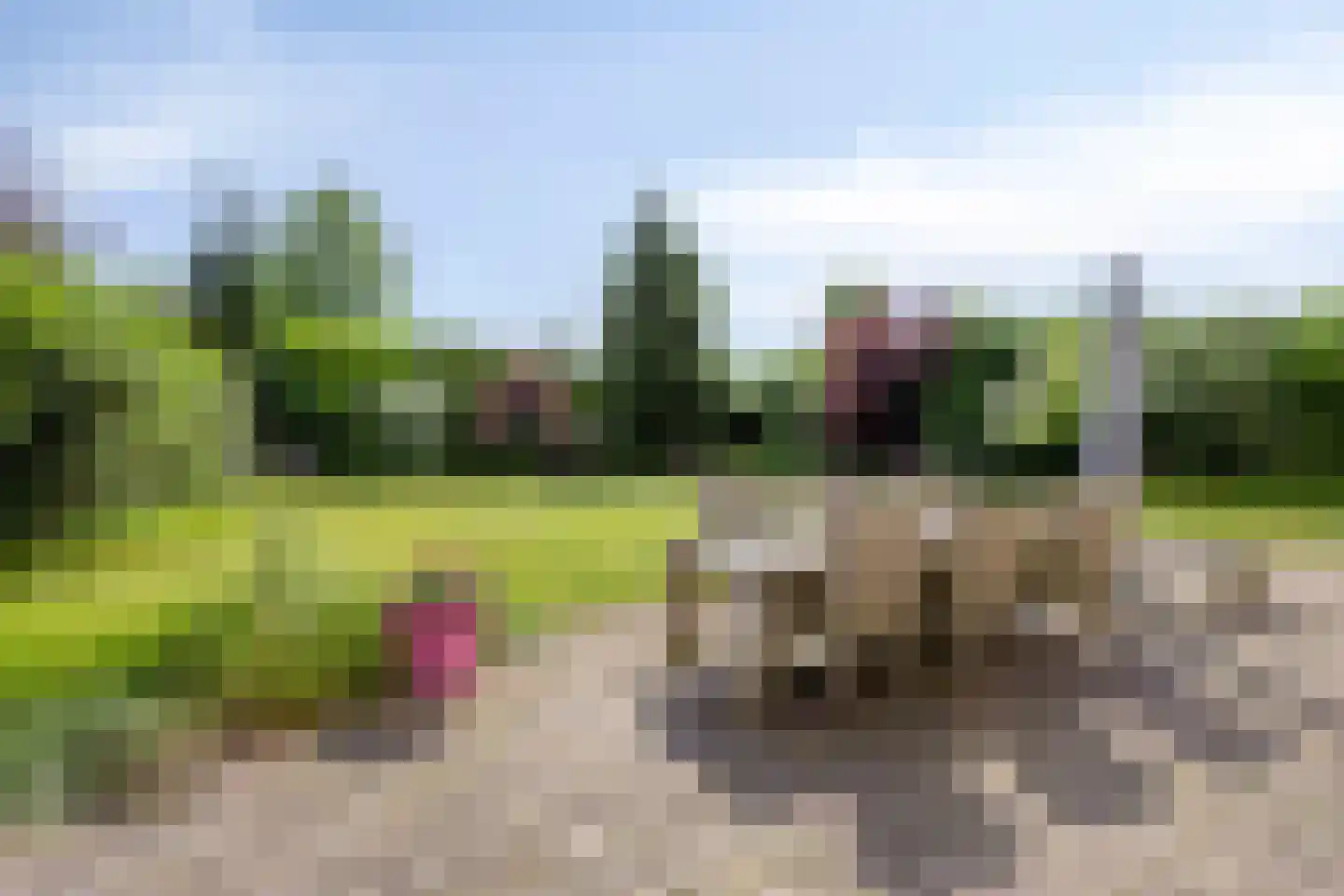 Tjaskermolen 57 de Lutte thumbnail 28