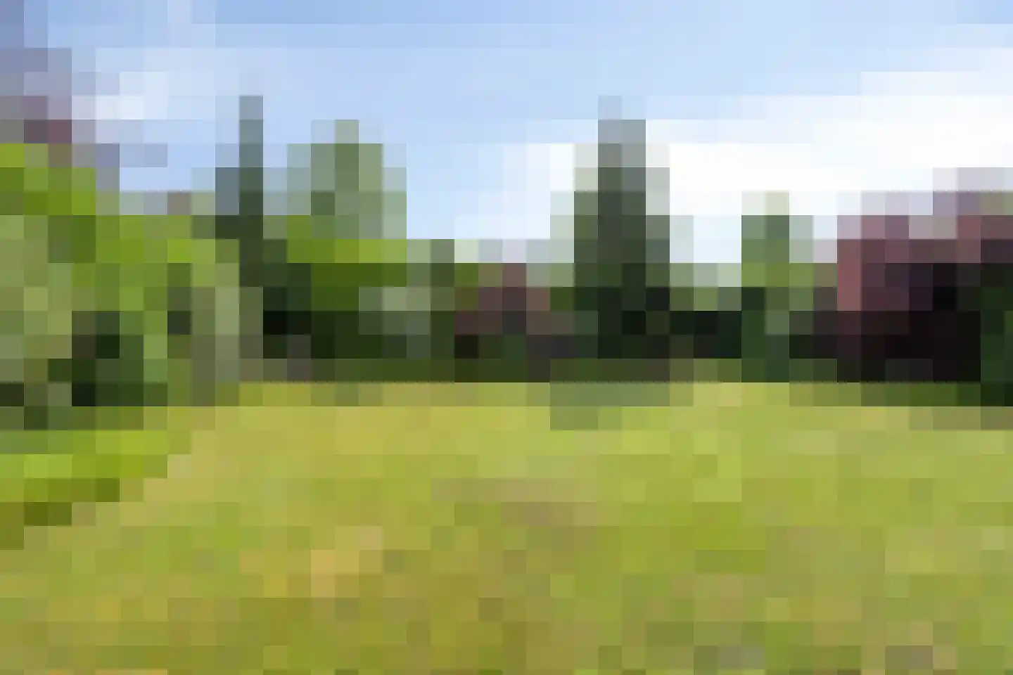 Tjaskermolen 57 de Lutte thumbnail 29