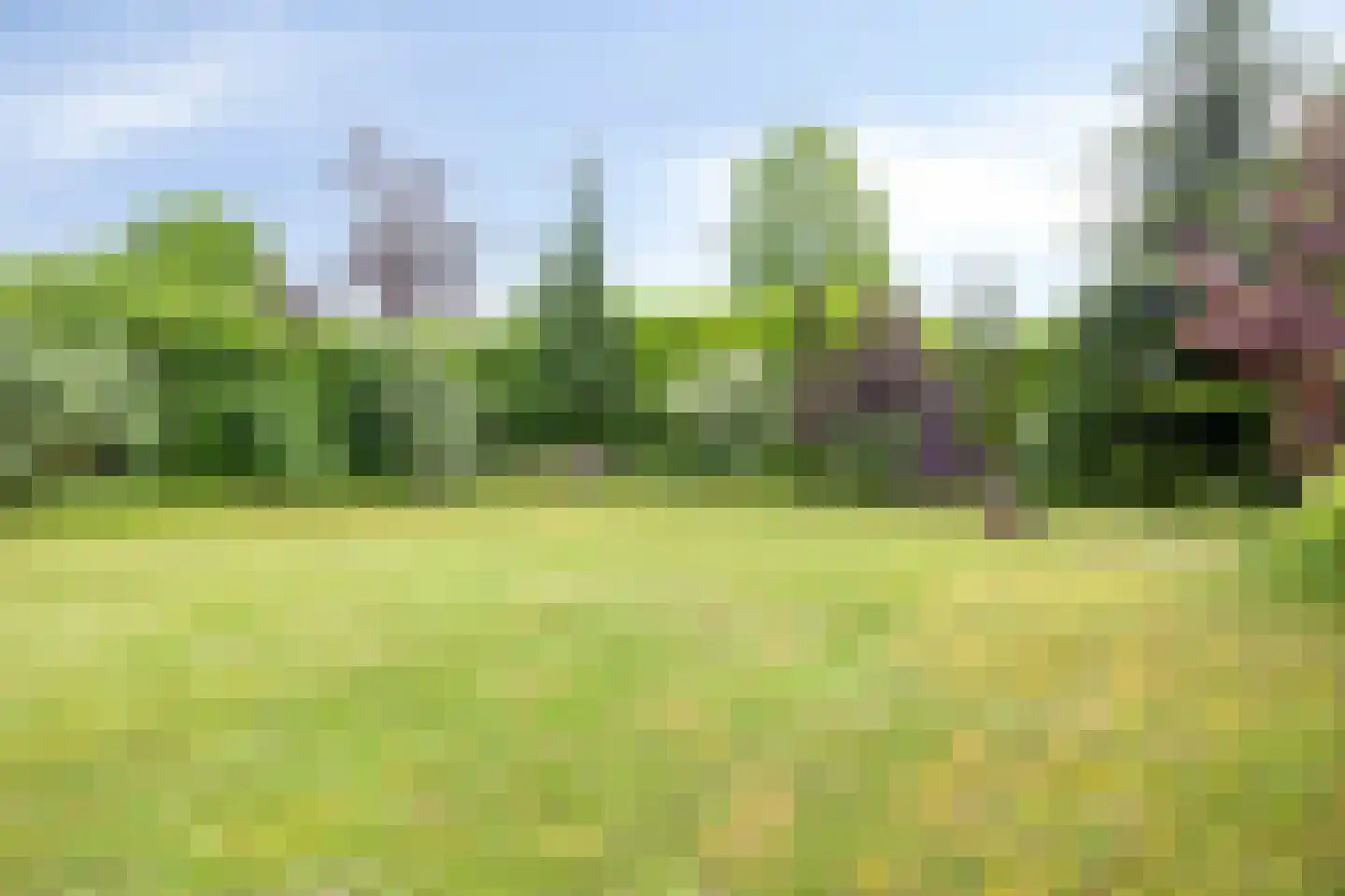 Tjaskermolen 57 de Lutte thumbnail 30