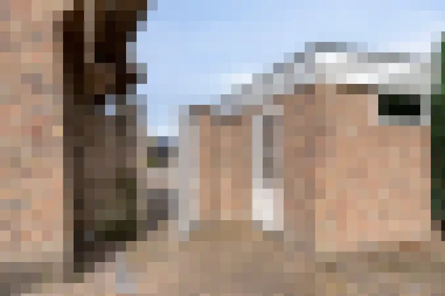 Tjaskermolen 57 de Lutte thumbnail 31
