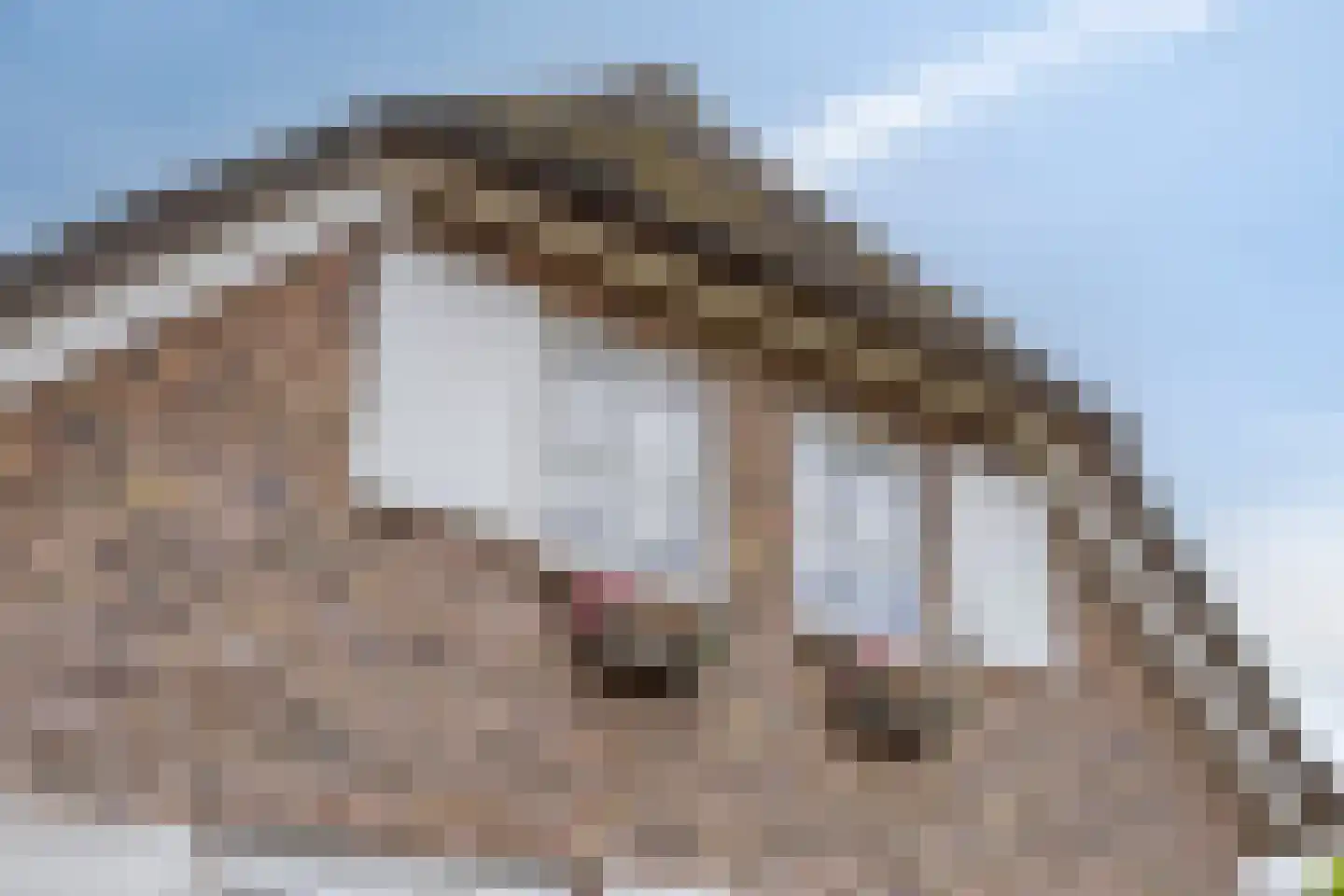 Tjaskermolen 57 de Lutte thumbnail 34