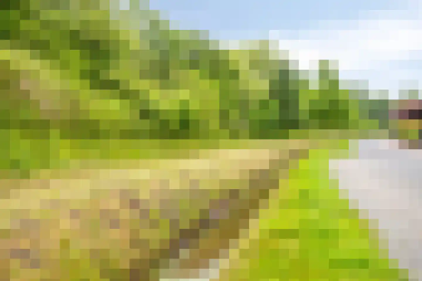 Tjaskermolen 57 de Lutte thumbnail 38