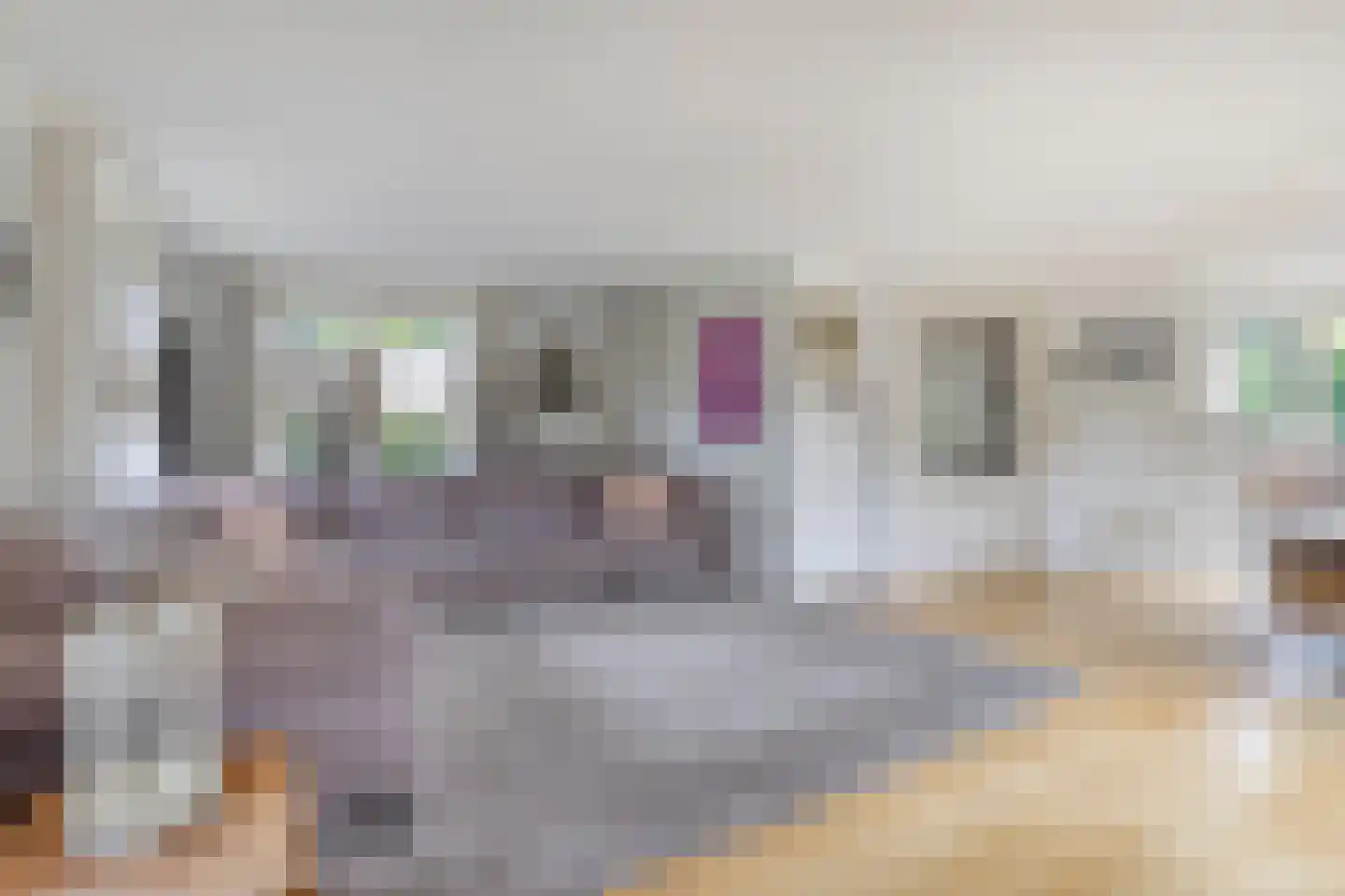 Tjaskermolen 57 de Lutte thumbnail 4