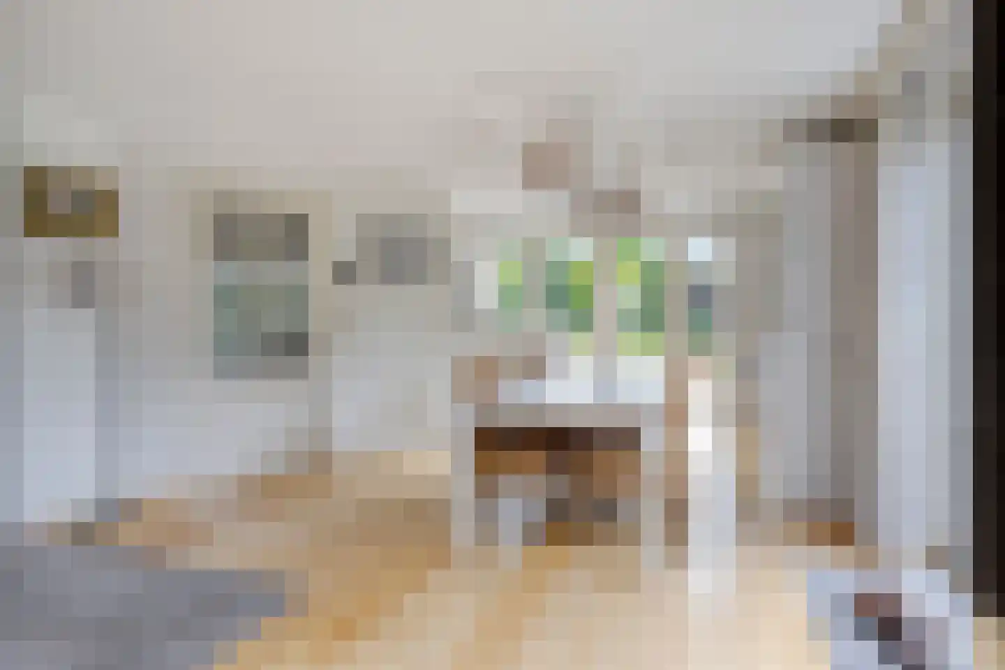 Tjaskermolen 57 de Lutte thumbnail 6