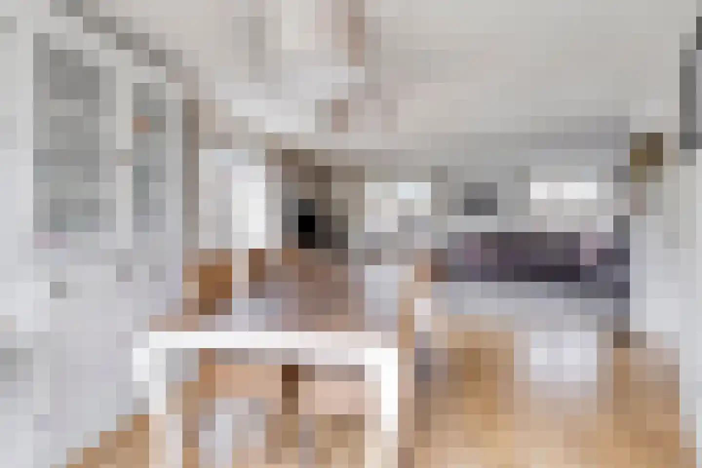 Tjaskermolen 57 de Lutte thumbnail 8