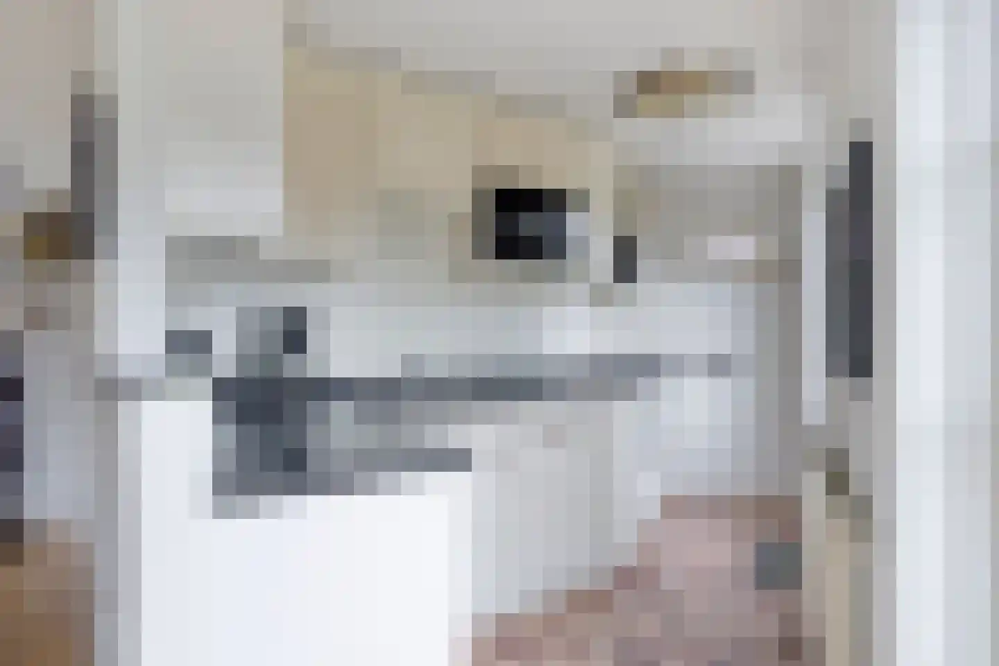 Tjaskermolen 57 de Lutte thumbnail 9