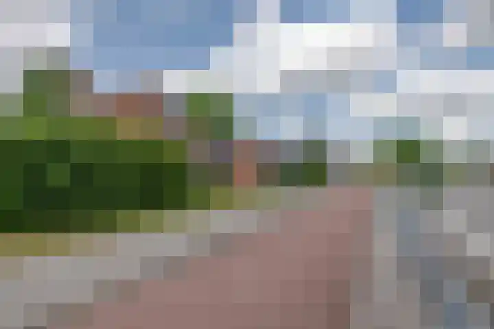 Tjaskermolen 61 Papendrecht thumbnail 38