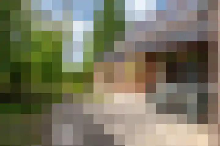 Tjaskermolen 61 Papendrecht thumbnail 5