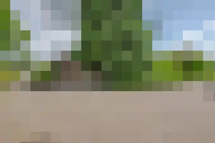 Tjaskermolen 61 Papendrecht thumbnail 6