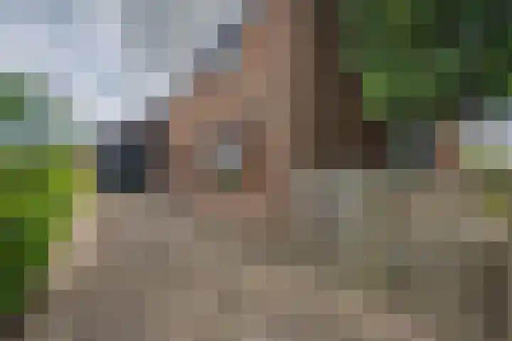 Tjaskermolen 61 Papendrecht thumbnail 7