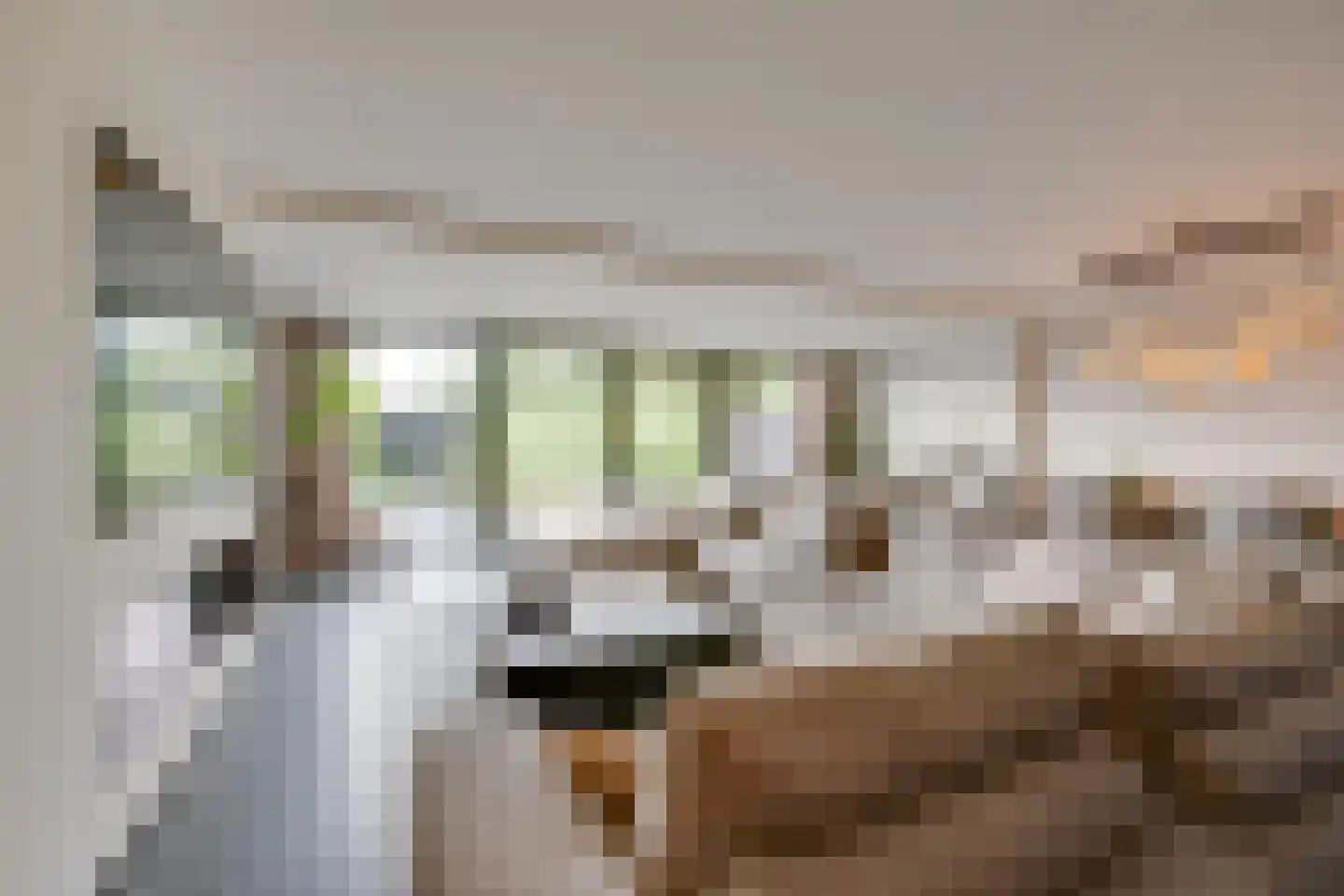 Tjaskermolen 7 Edam thumbnail 12