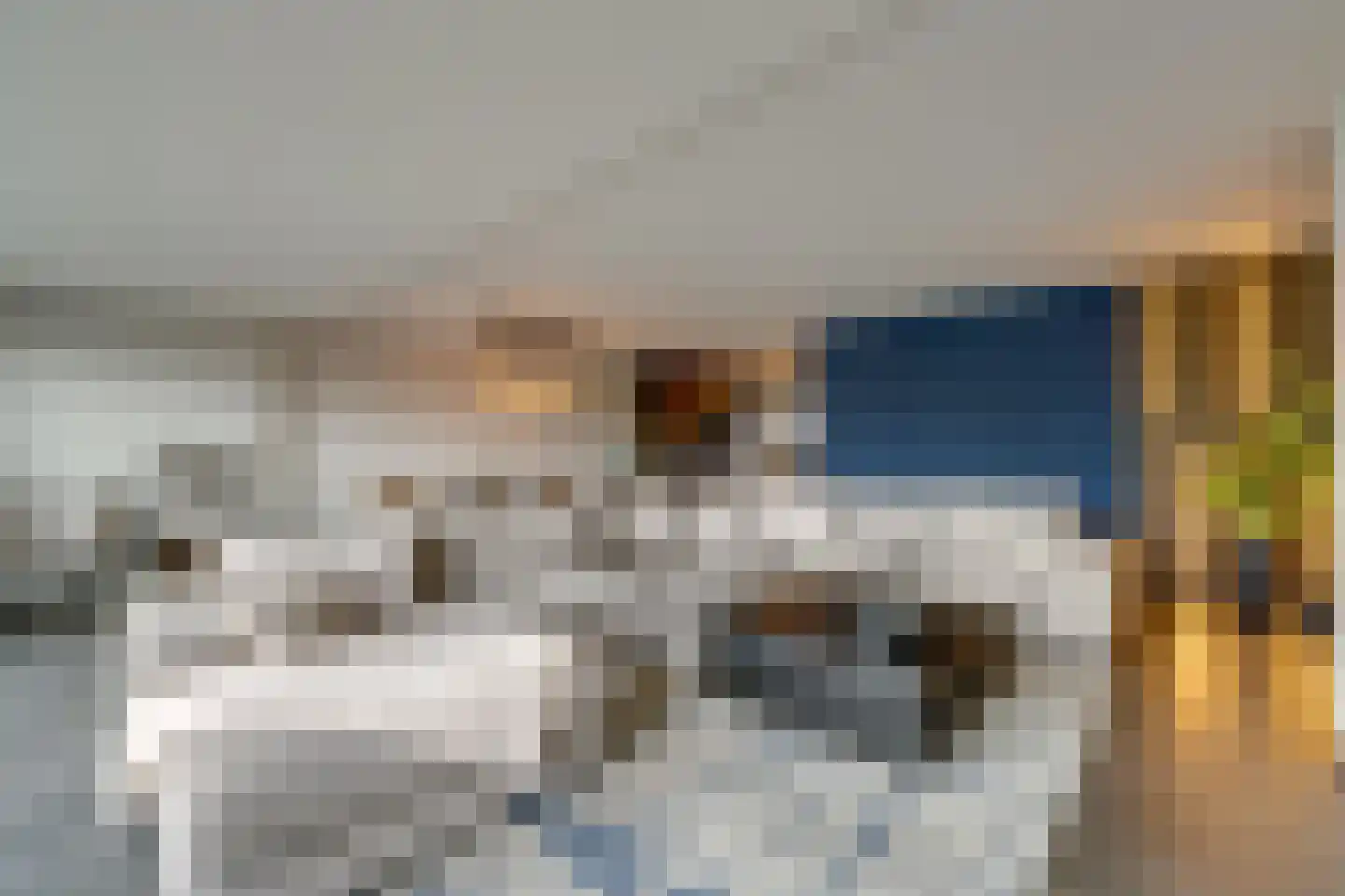 Tjaskermolen 7 Edam thumbnail 20