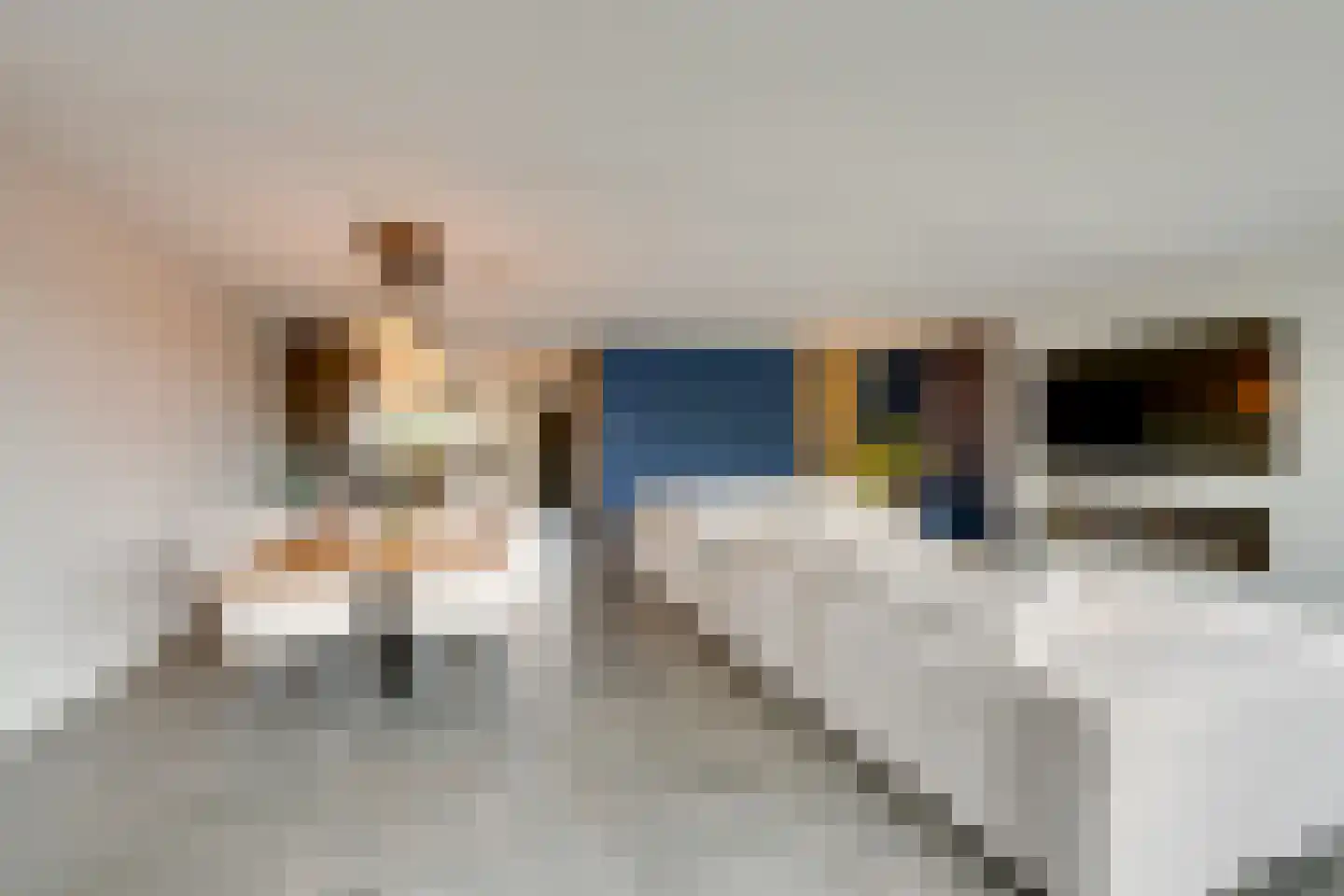 Tjaskermolen 7 Edam thumbnail 22