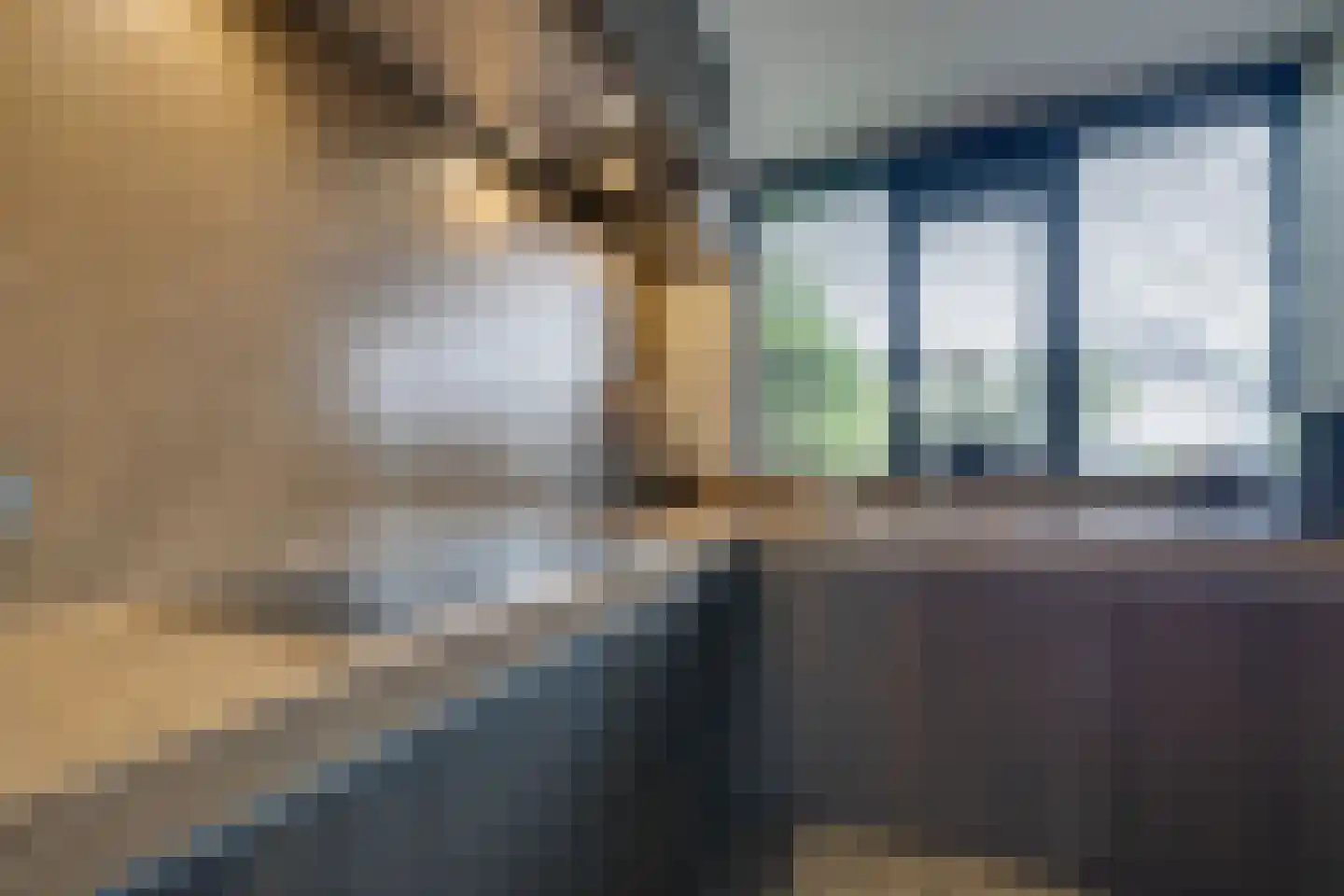 Tjaskermolen 7 Edam thumbnail 30