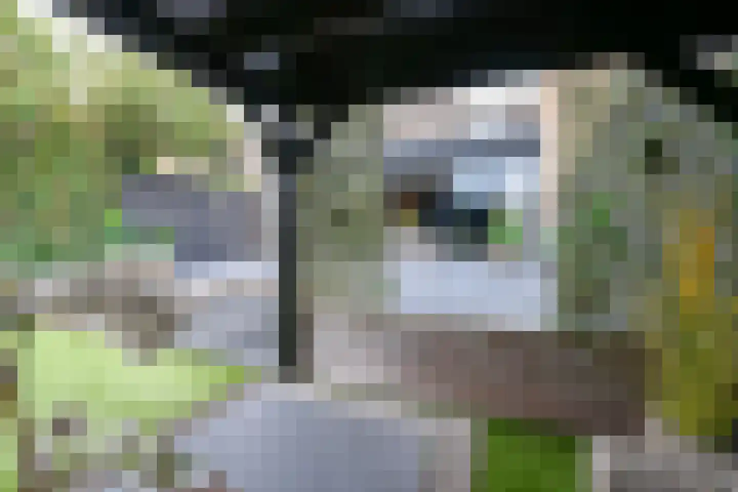 Tjaskermolen 7 Edam thumbnail 40
