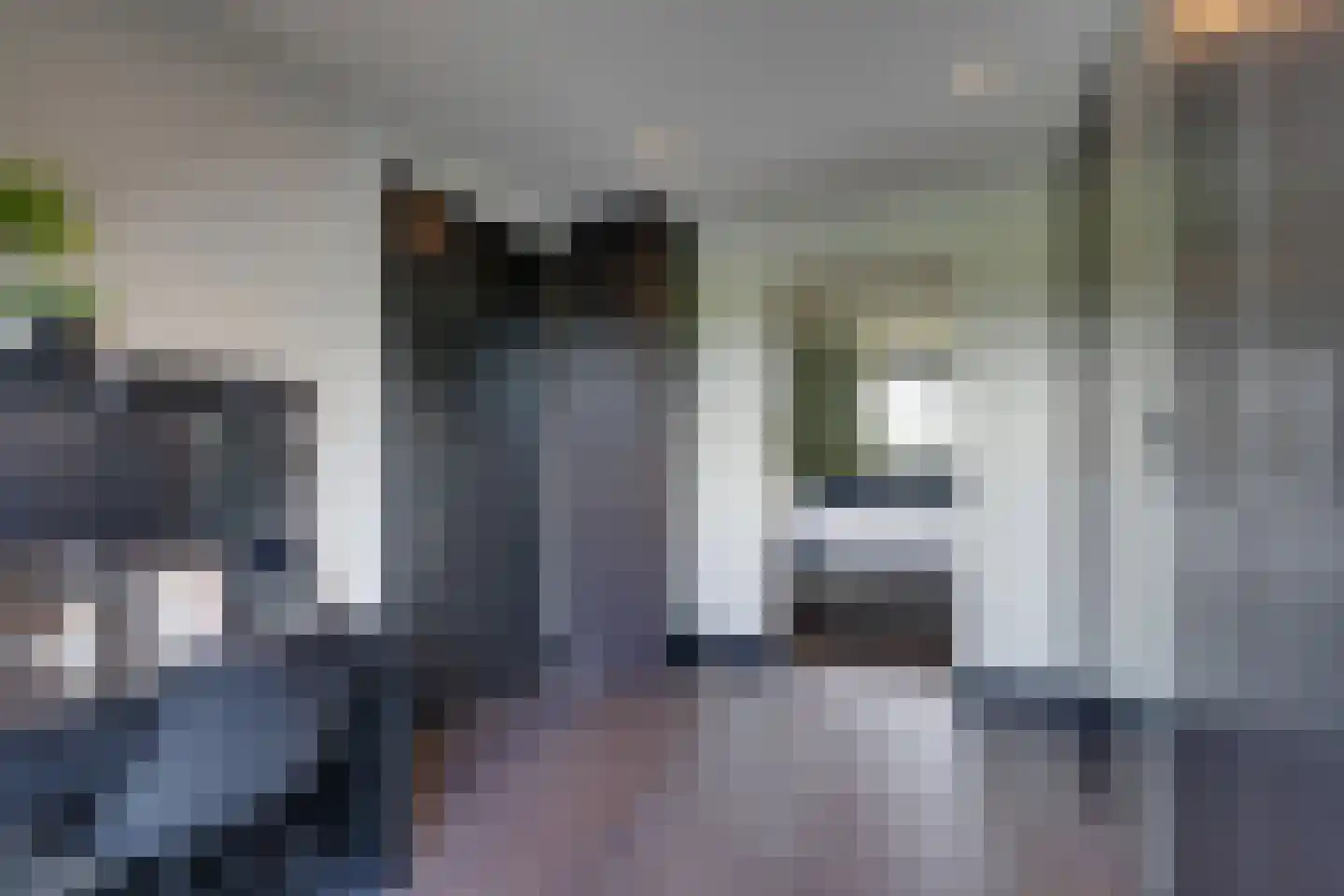 Tjaskermolen 7 Edam thumbnail 42