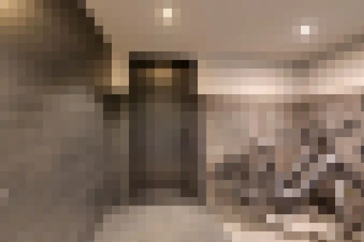 Tjaskermolen 7 Edam thumbnail 43