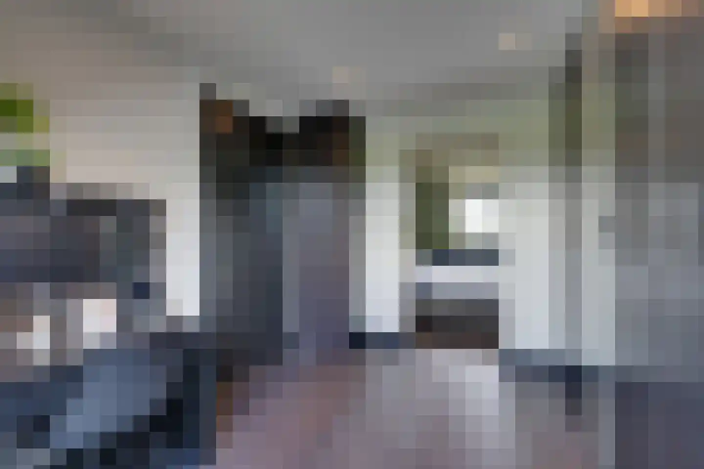 Tjaskermolen 7 Edam thumbnail 46