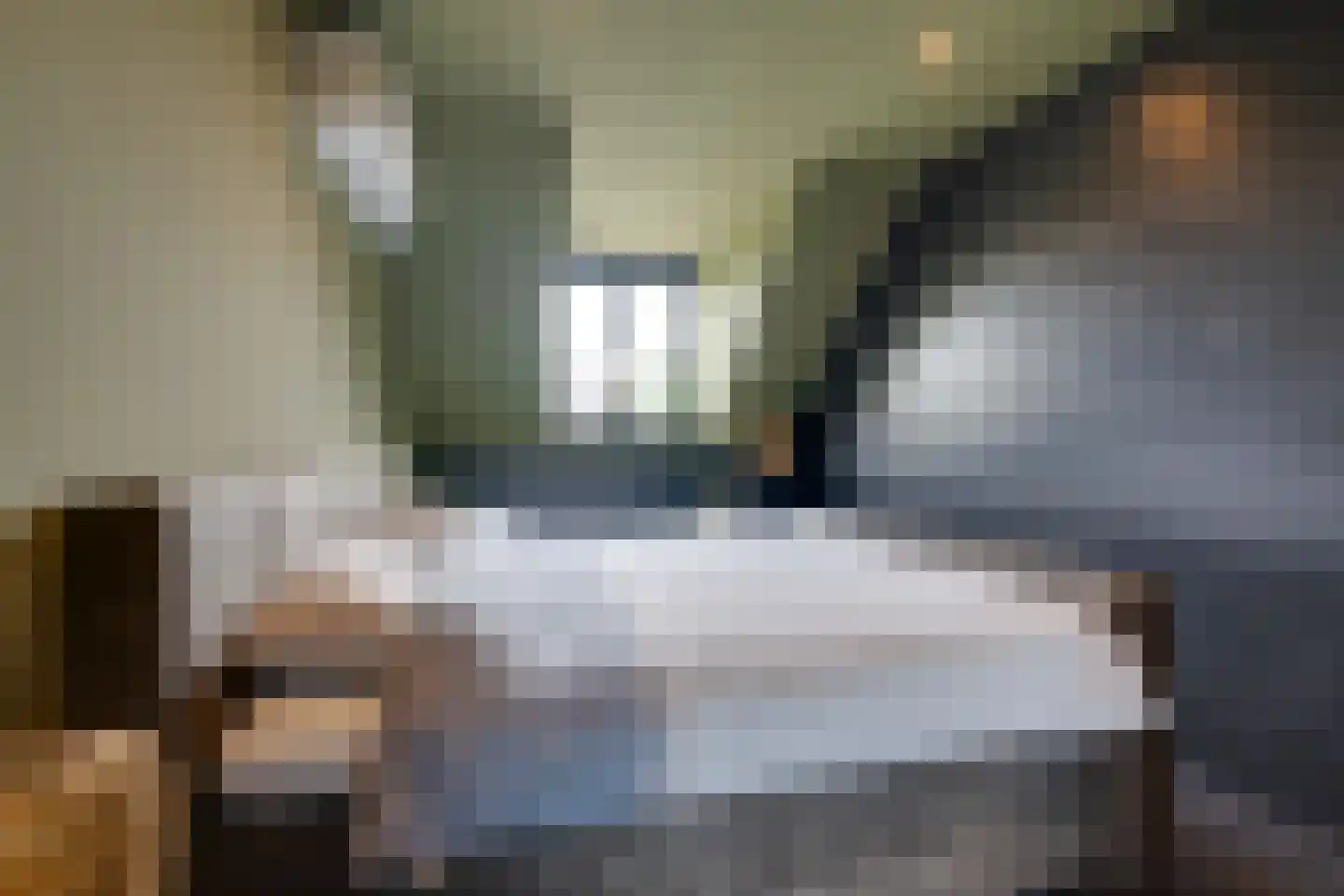 Tjaskermolen 7 Edam thumbnail 47