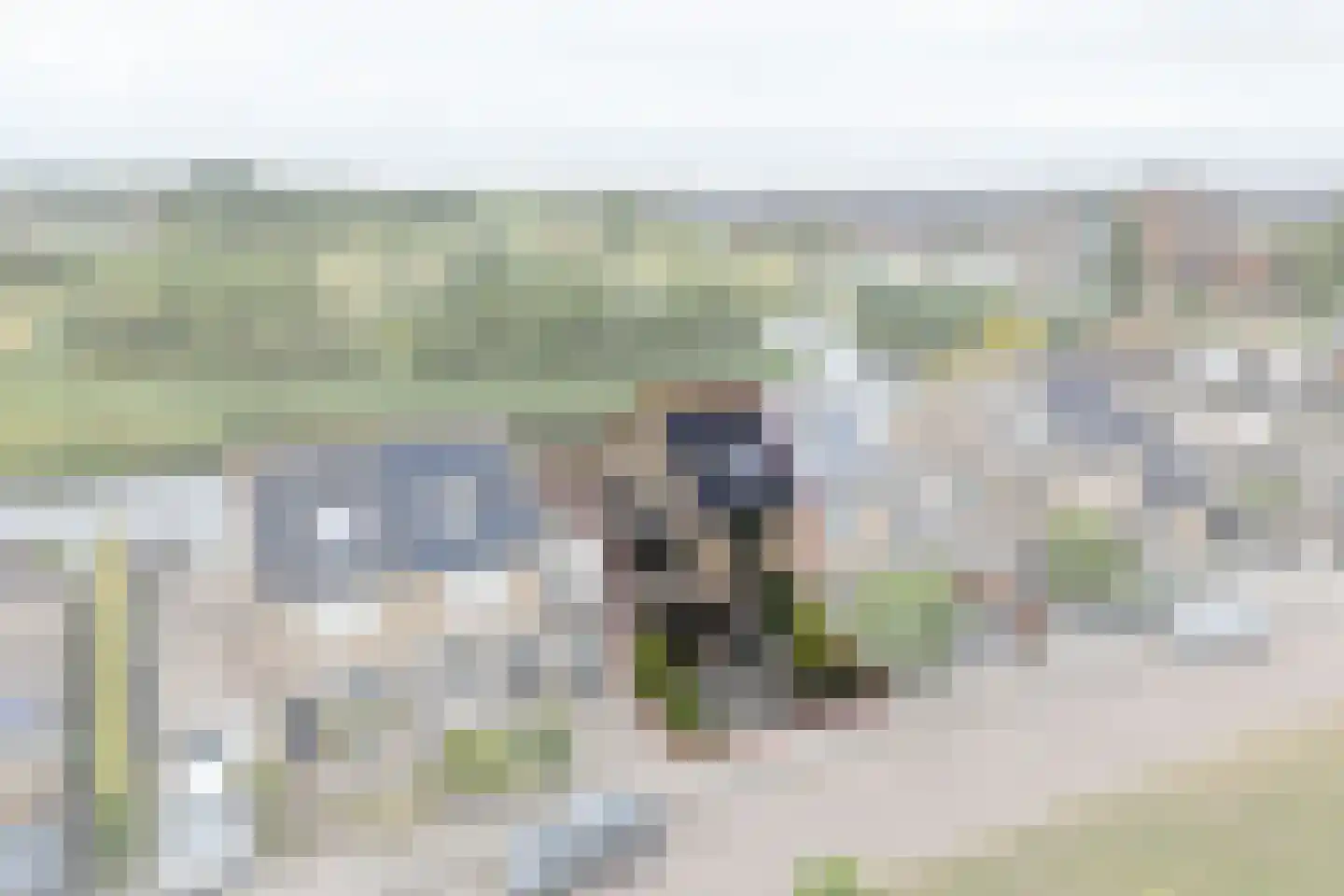 Tjaskermolen 7 Edam thumbnail 5