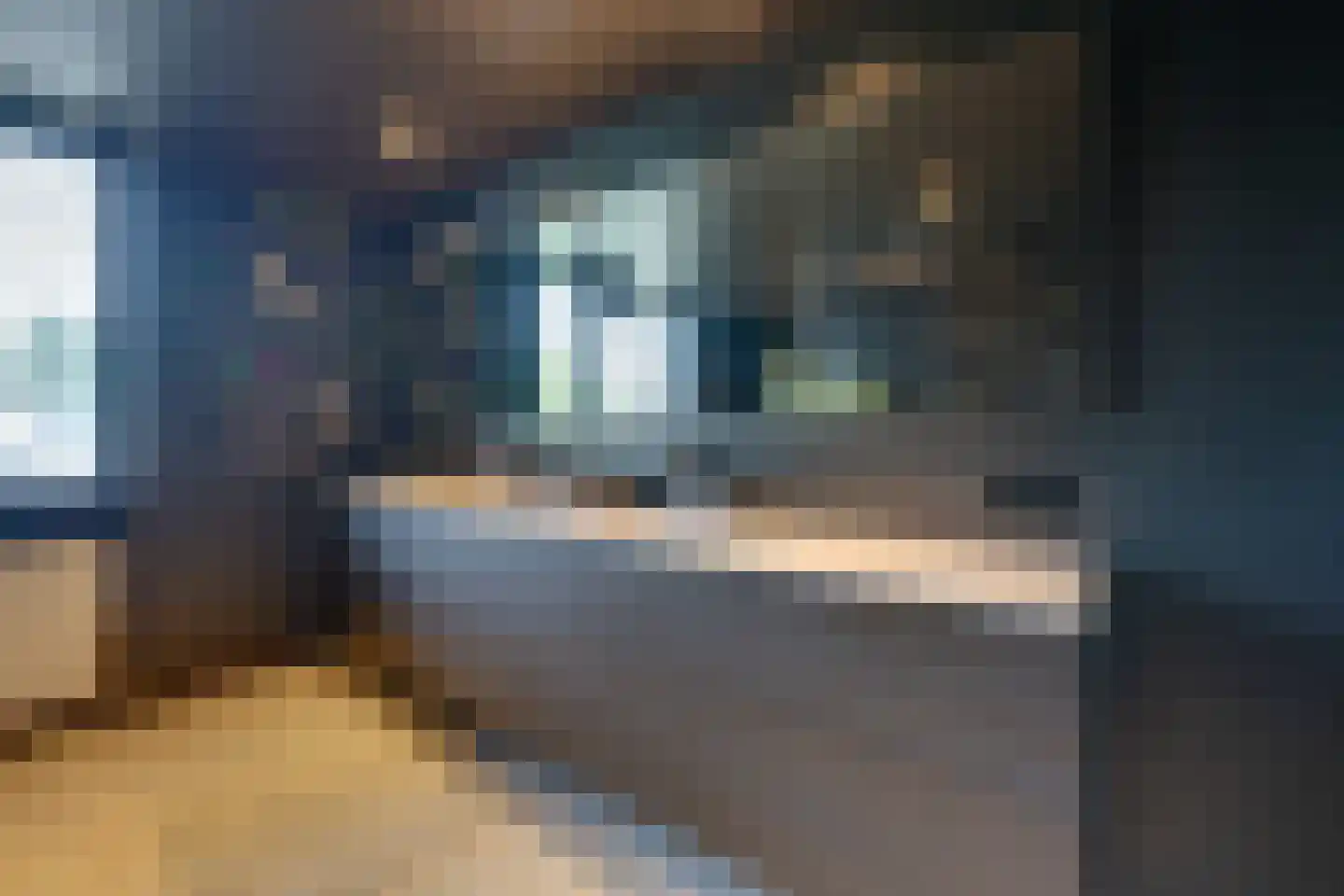 Tjaskermolen 7 Edam thumbnail 50