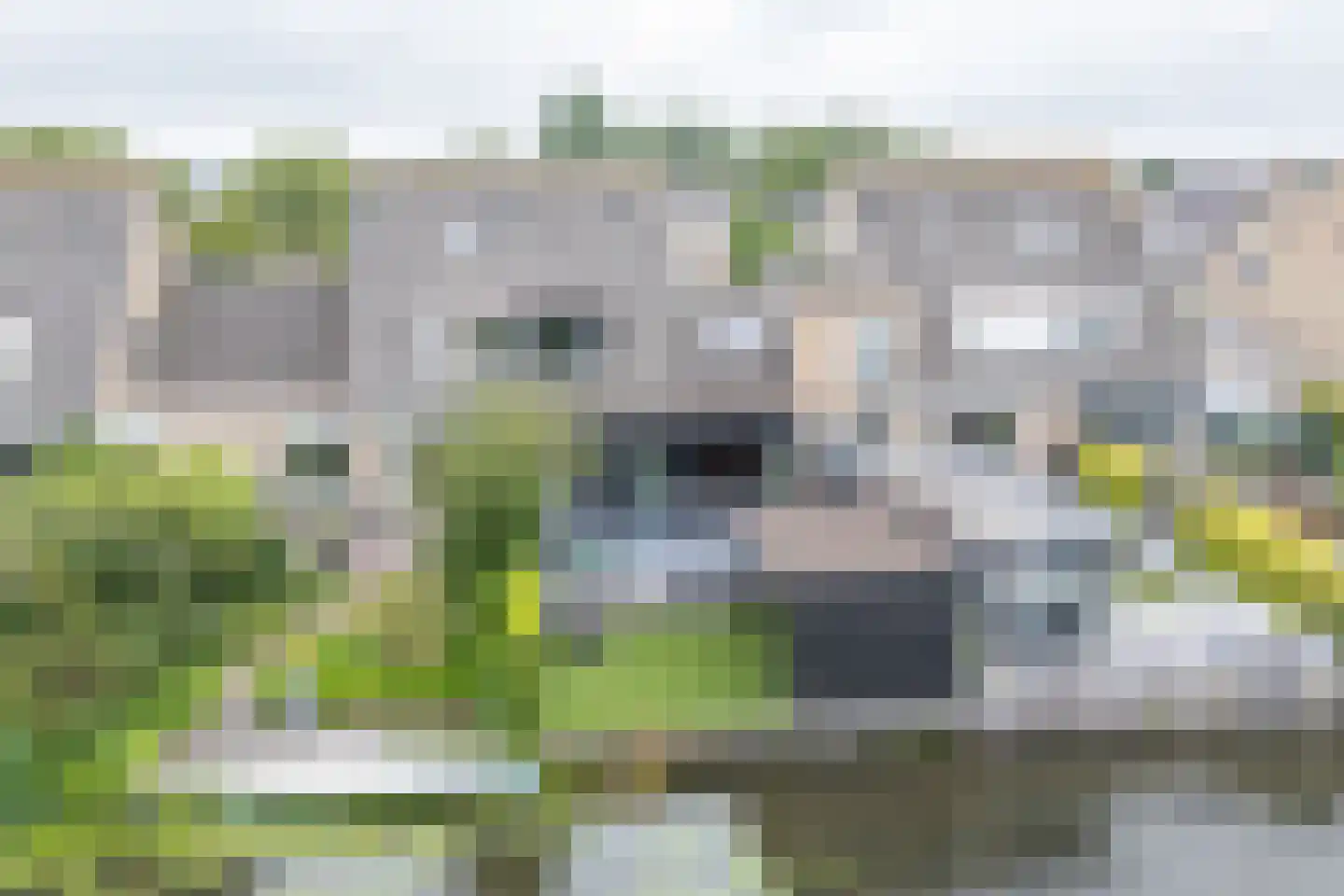 Tjaskermolen 7 Edam thumbnail 6