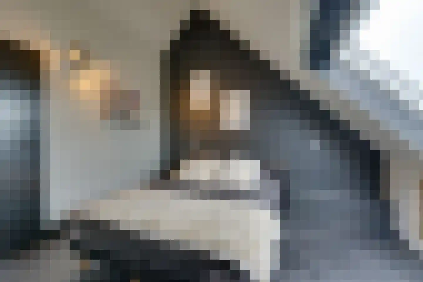 Tjaskermolen 7 Edam thumbnail 61