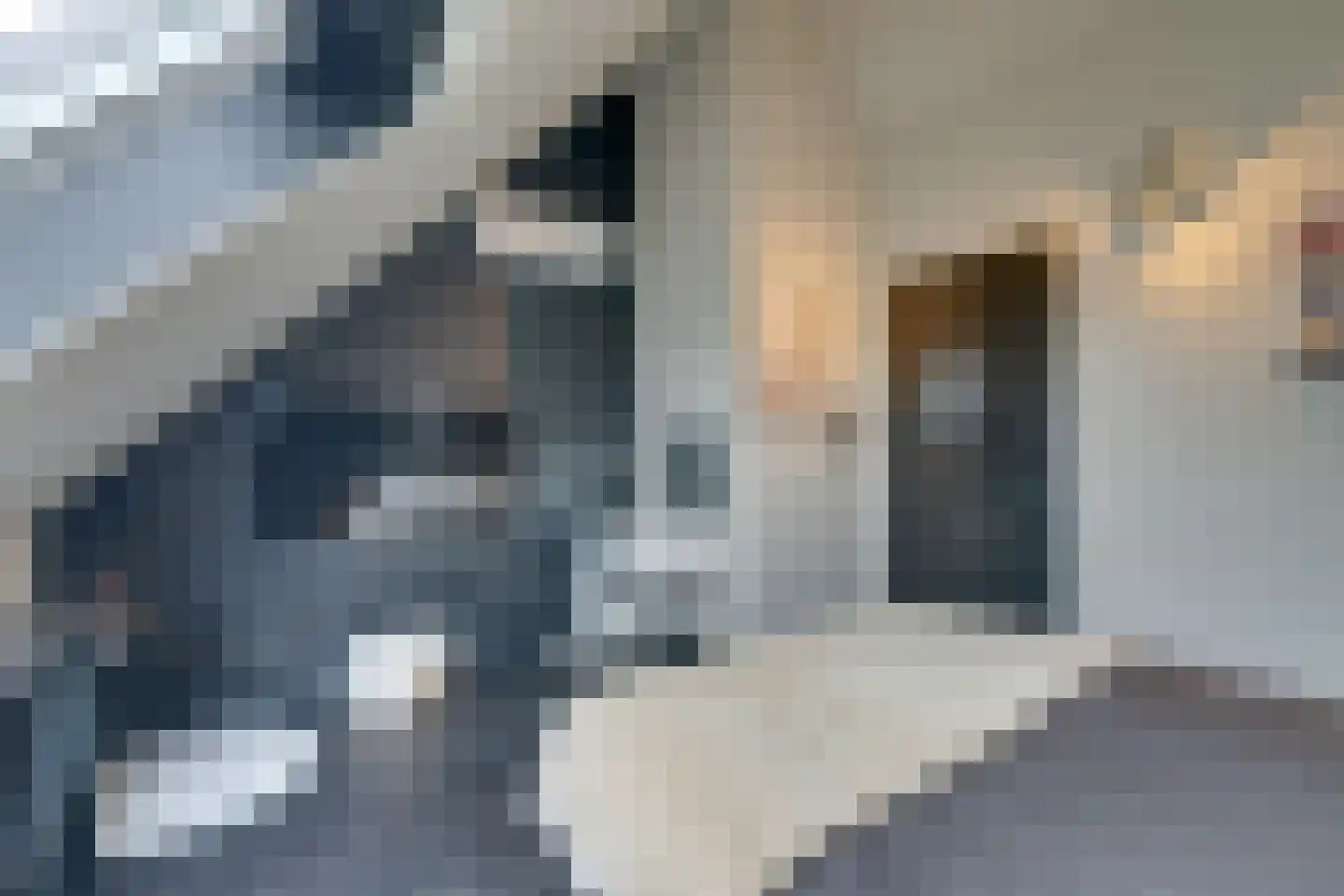 Tjaskermolen 7 Edam thumbnail 62