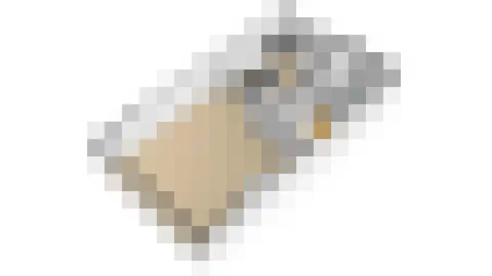 Tjaskermolen 7 Edam thumbnail 69