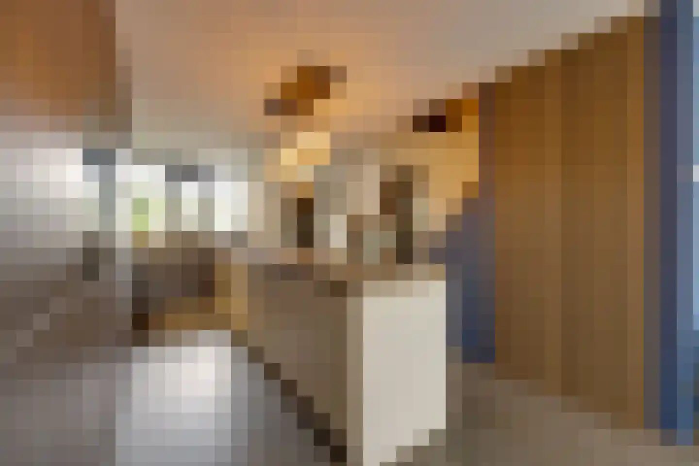 Tjaskermolen 7 Edam thumbnail 8