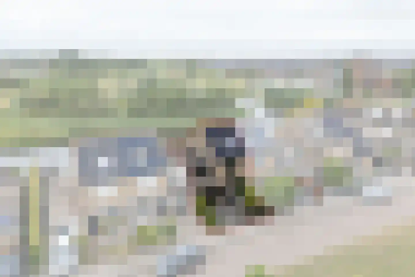 Tjaskermolen 7 Edam thumbnail 8